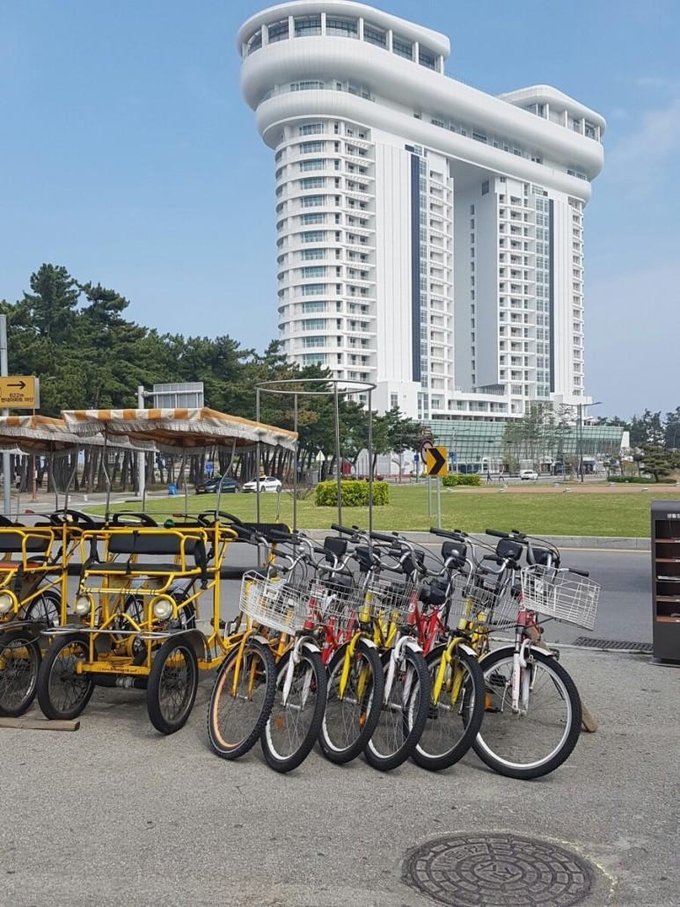 일본 슬롯 머신 하는 법