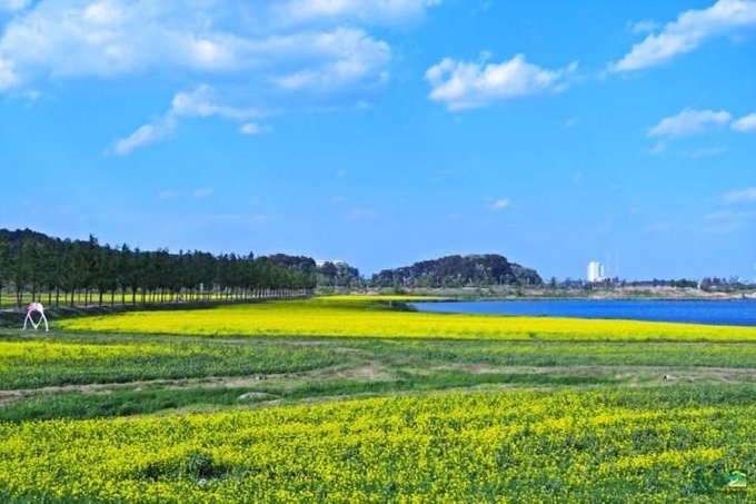 일본 슬롯 머신 하는 법