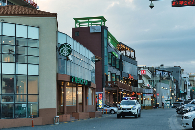 정선 카지노 슬롯 머신