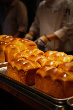 무료 스핀 슬롯