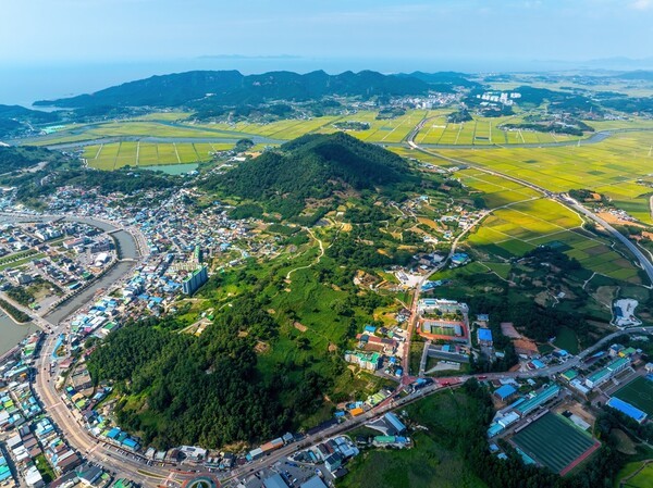 버팔로 슬롯 머신