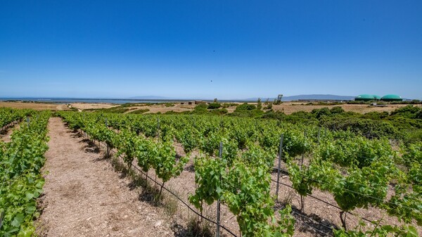 모바일 슬롯 게임