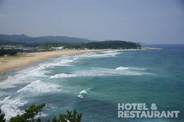 마메 슬롯 머신해변