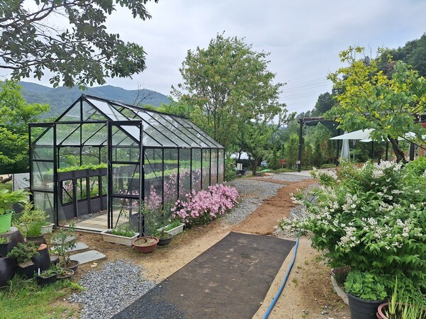 농업회사법인주식회사디에스팜