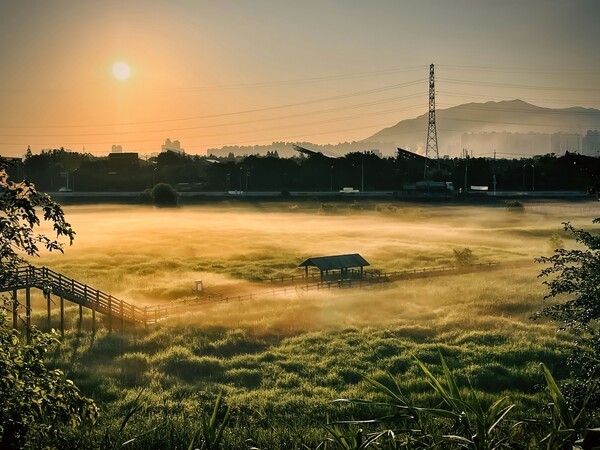 신규 슬롯사이트