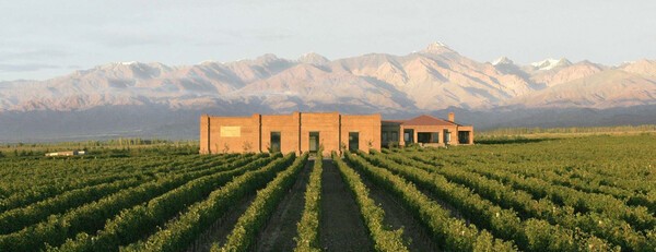 정선 카지노 슬롯 머신