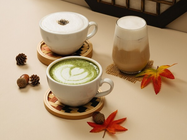 무료 메가 슬롯 머신