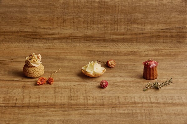 슬롯사이트 아톰카지노