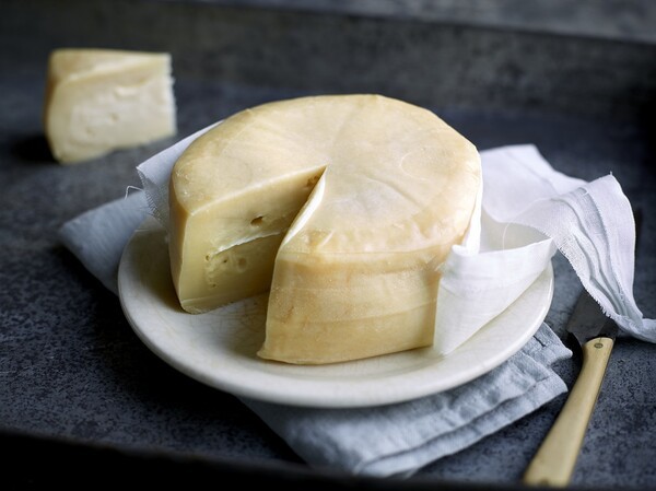 포르투갈 케이주 세하 다 이스트렐라 (Queijo Serra da Estrela) PDO 치즈