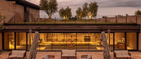 무료 스핀 슬롯