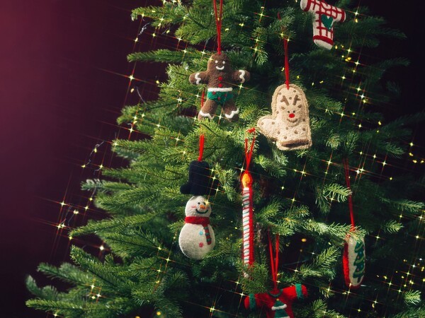 메이저 슬롯사이트 아톰카지노