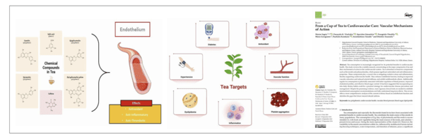 자료 출처_ Life 2024, 14(9), 1168; https://doi.org/10.3390/life14091168