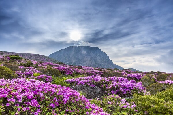 대한민국 한라산