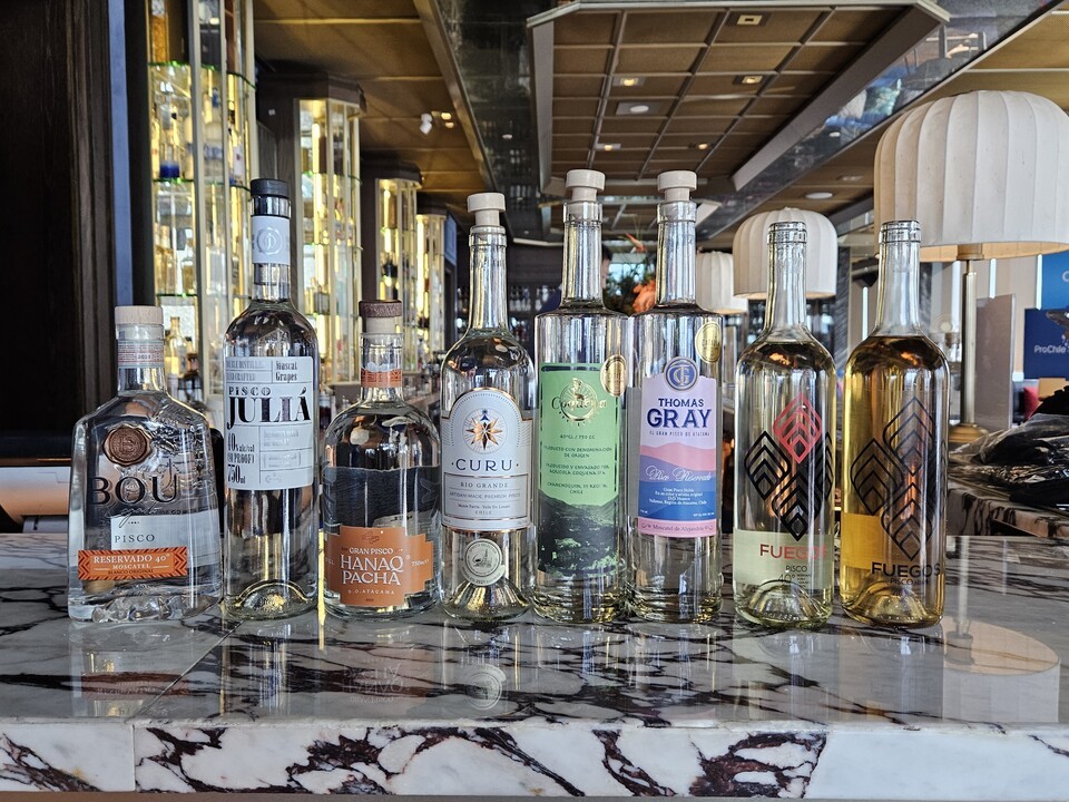 세부 워터 프론트 카지노 슬롯 머신