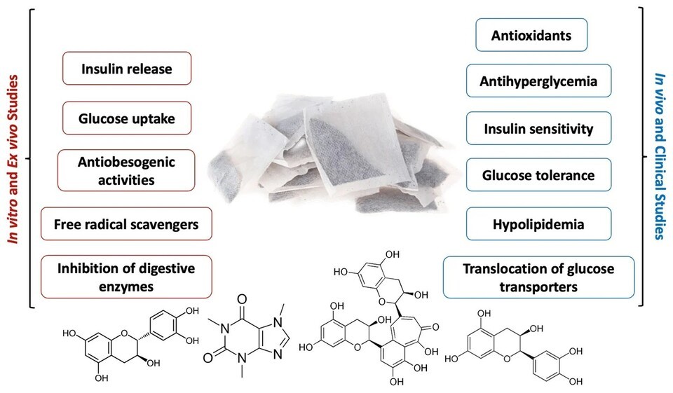 자료 출처_ Life 2024, 14(9), 1168; https://doi.org/10.3390/life14091168