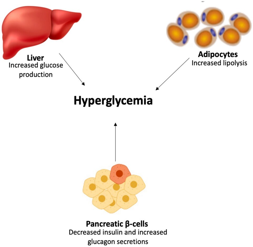 자료 출처_ Life 2024, 14(9), 1168; https://doi.org/10.3390/life14091168