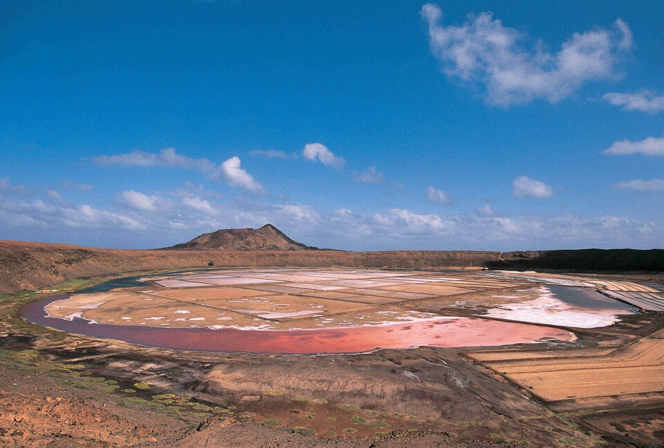 바다 이야기 슬롯 머신