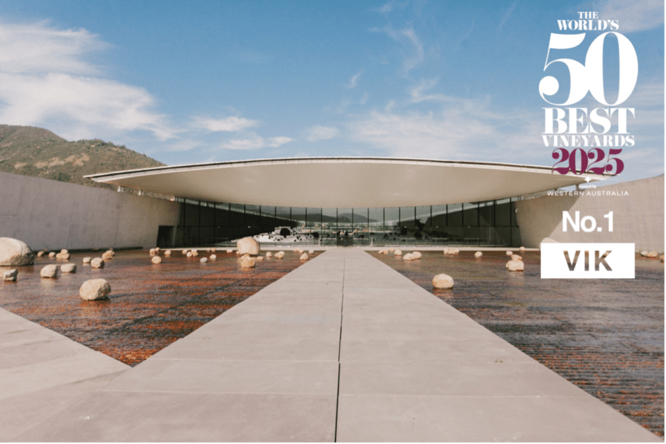 카지노 슬롯 게임