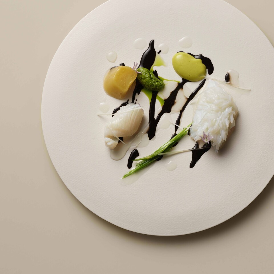 오징어 숙회