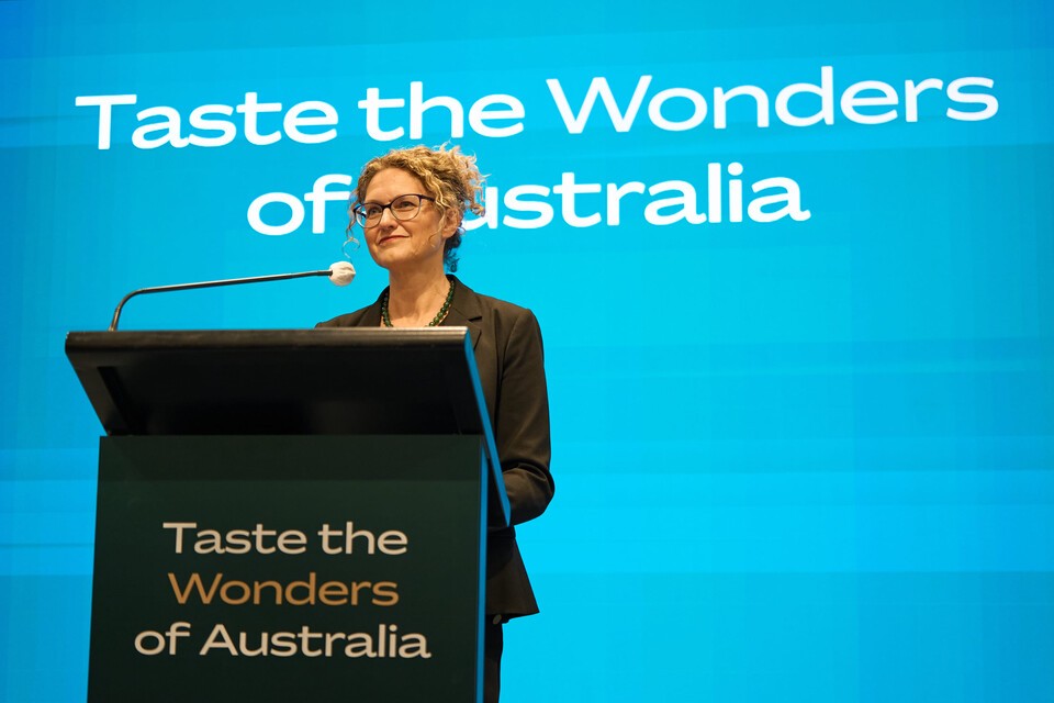 강원 랜드 슬롯