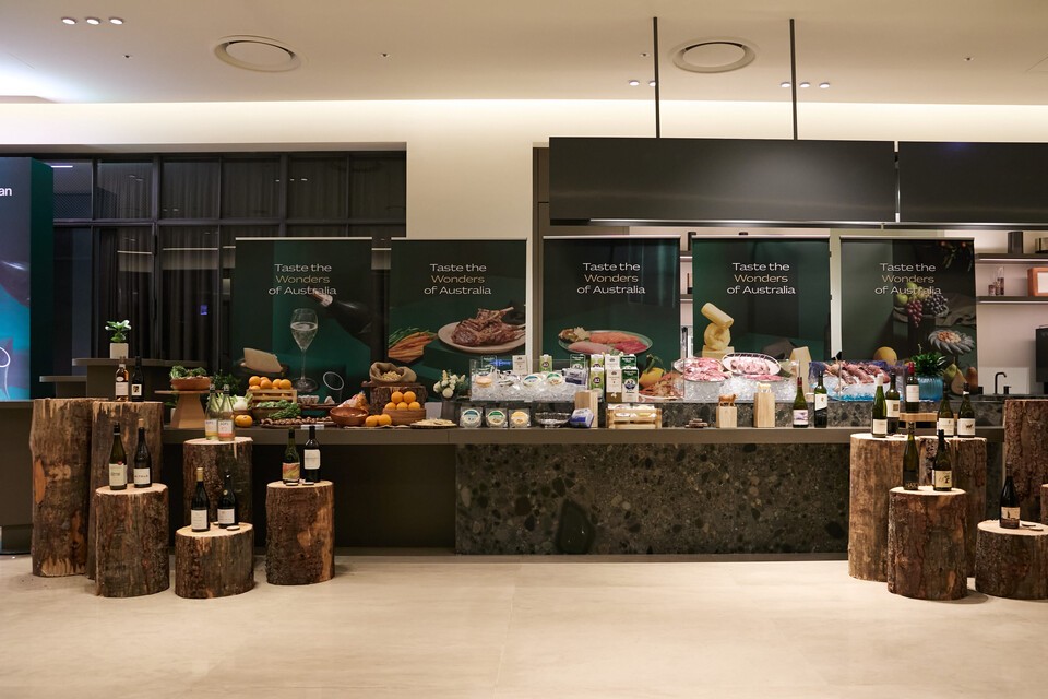 강원 랜드 슬롯