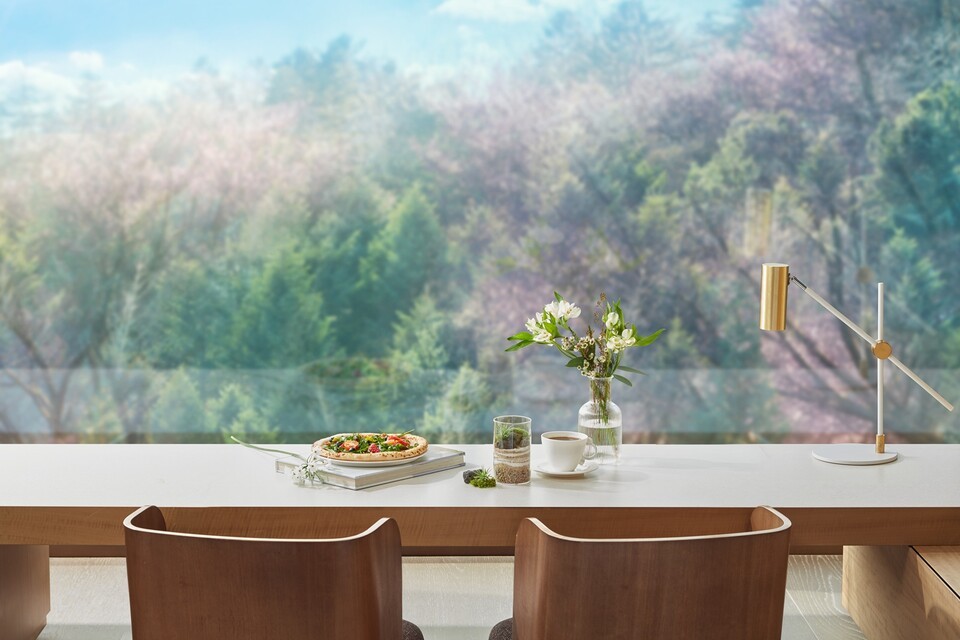 해외 슬롯사이트