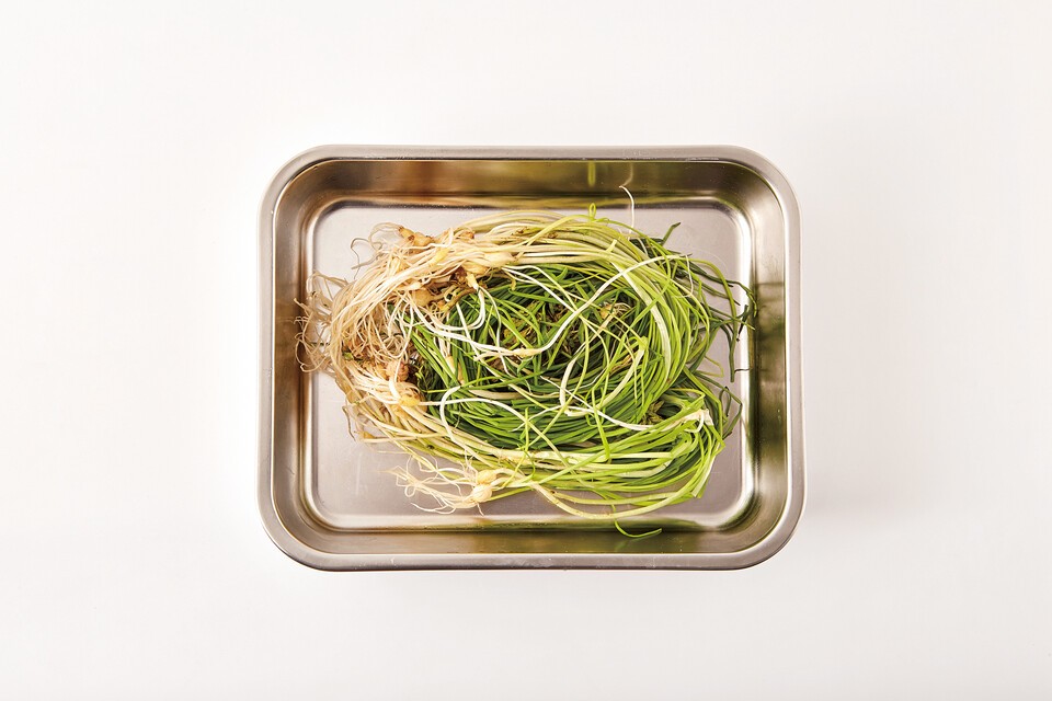 슬롯 머신 쿠폰