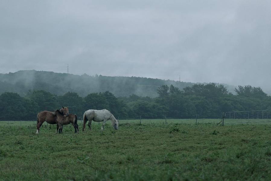 마메 슬롯 머신 팜 마메 슬롯 머신 풍경