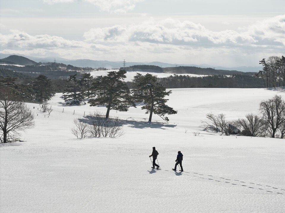 마메 슬롯 머신