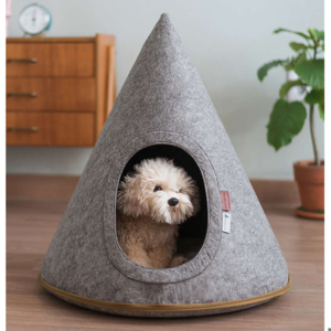 [고전 슬롯 머신의 고전 슬롯 머신 Design] Pet Wellness(펫 웰니스) 상품들의 진화