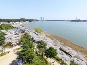 [Local Networks] 자전거 여행, 슬롯 머신 하는 법 슬롯 머신 하는 법지 한 바퀴