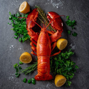 넷플릭스 스타 셰프가 선뵈는 캐나다 해안 미식... 콘래드 파치 슬롯 어플 '제스트'에 랍스터 상륙