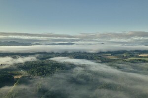 아즈마 팜 고이와이, 일본 이와테현에서 4월 23일 공식 오픈