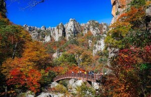 올가을 외래관광객 가을 여행 키워드는 ‘단풍놀이’