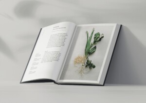 한국의집 고유의 식문화 철학과 조리법을 담은 국·영문판 조리서 '조응(照應)' 발간